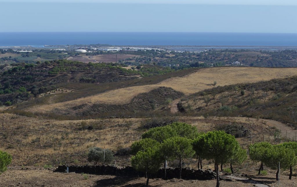 Paisagem à volta